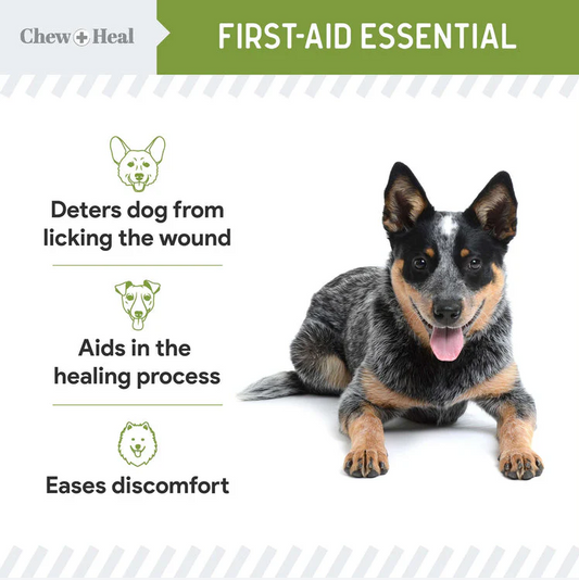 Liquid Bandage for Dogs