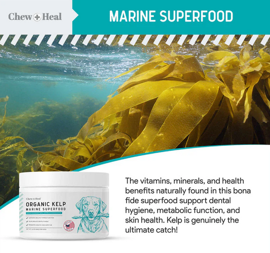 Organic Kelp Marine Superfood Granules Dental Supplement for Dogs