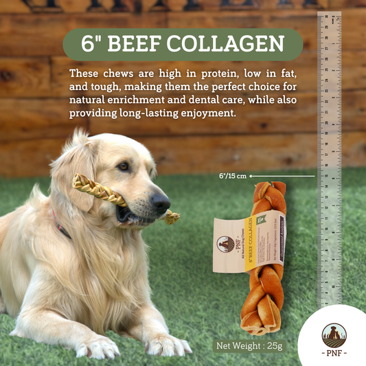 6" Braided Beef Collagen