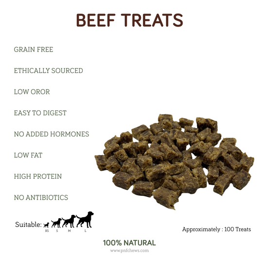 Beef Treats 100g
