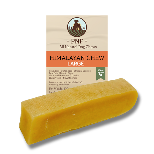 Himalayan Chew Large