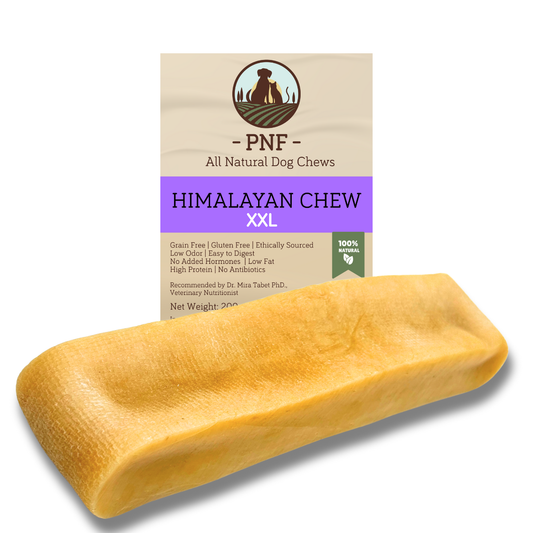 Himalayan Chew XXL