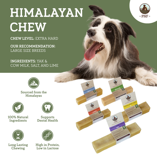 Himalayan Chew XL
