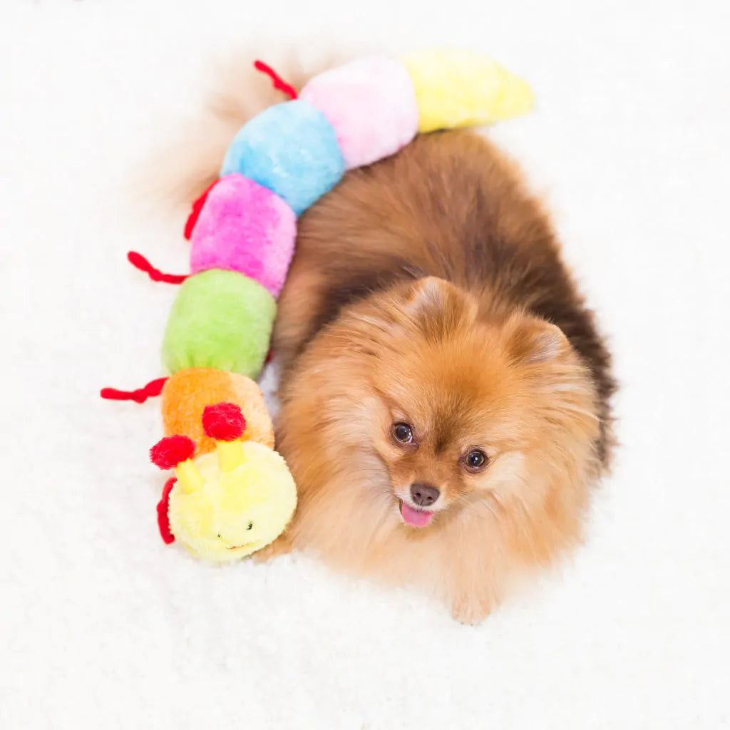 Zippy Paws Caterpillar – Large with 7 Squeakers