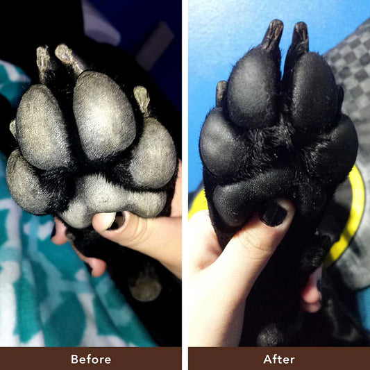 Natural Dog Company Pawtection Stick - 2 Oz