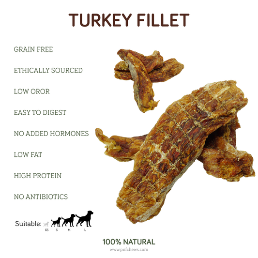 Turkey Fillet 100g