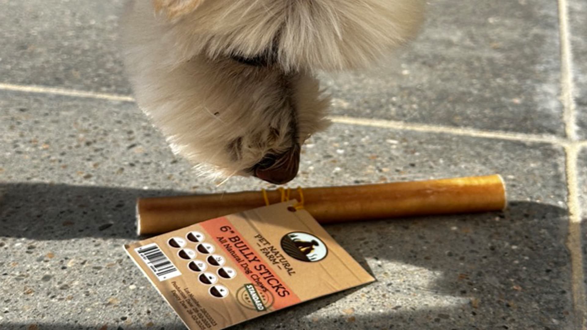 Why It's Time to Switch to Safer Rawhide Alternatives for Your Dog
