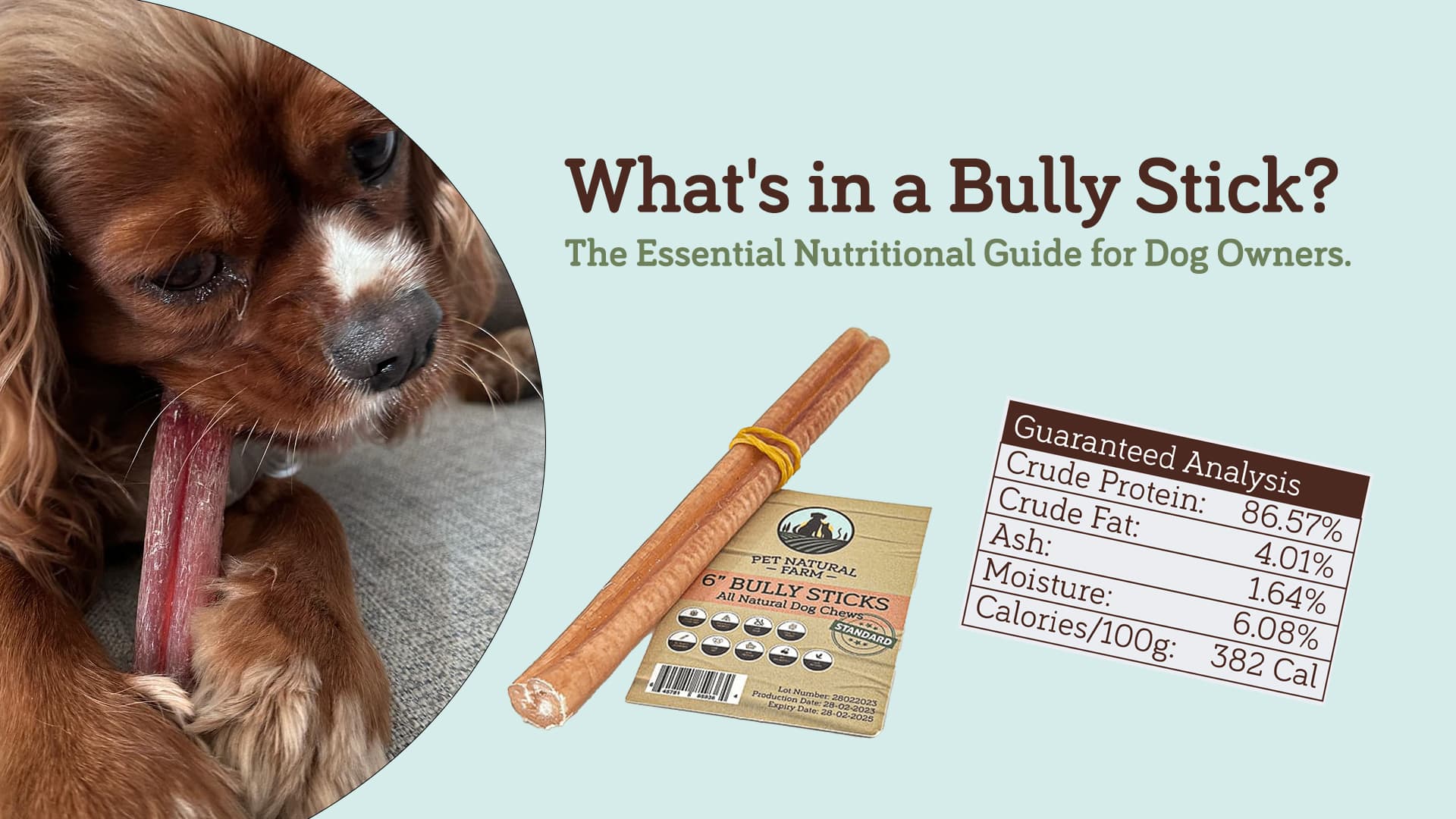 What's in a Bully Stick? The Essential Nutritional Guide for Dog Owners.