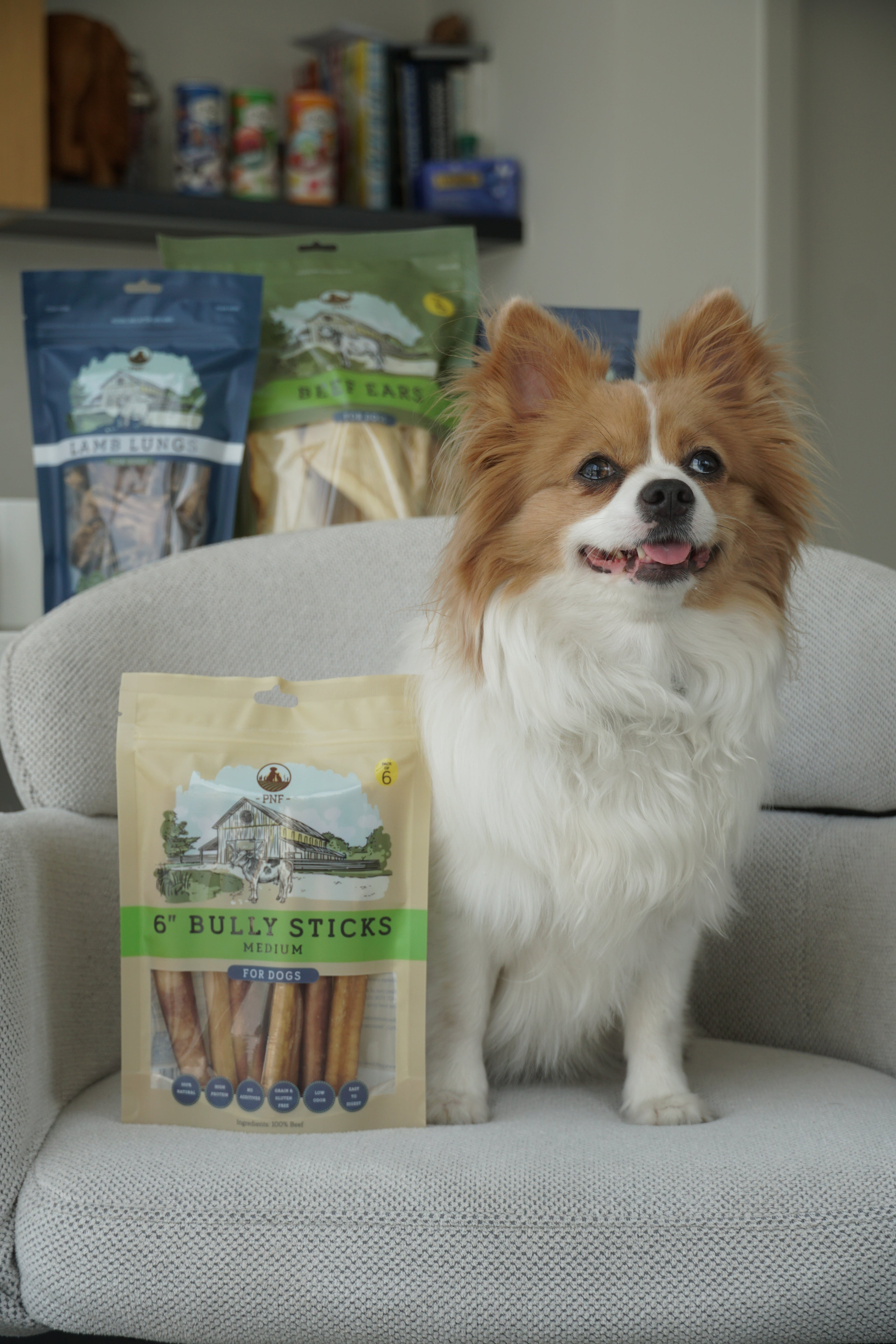 Dog Sitting next to PNF Products