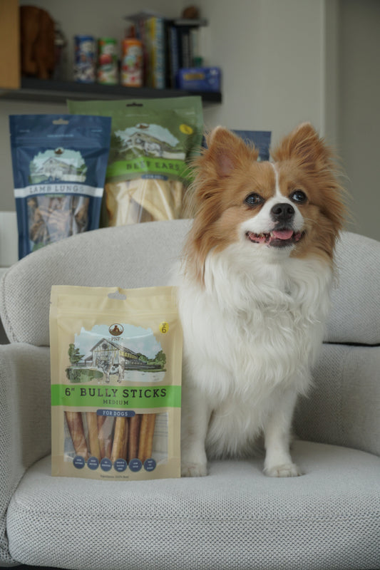 Dog Sitting next to PNF Products