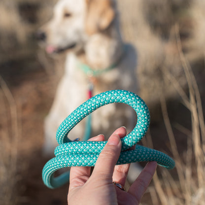 Mod Essential Leash - Teal by ZippyPaws