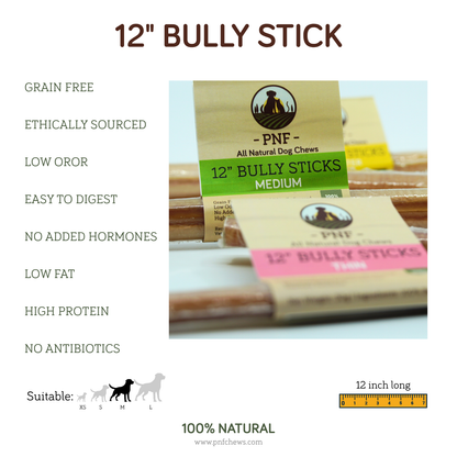 12" Bully Stick Medium