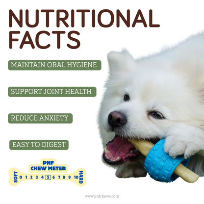 12" Beef Tails Standard