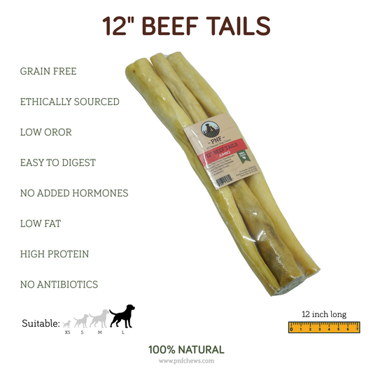 12" Beef Tails Jumbo