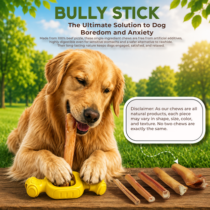 12" Bully Stick Jumbo