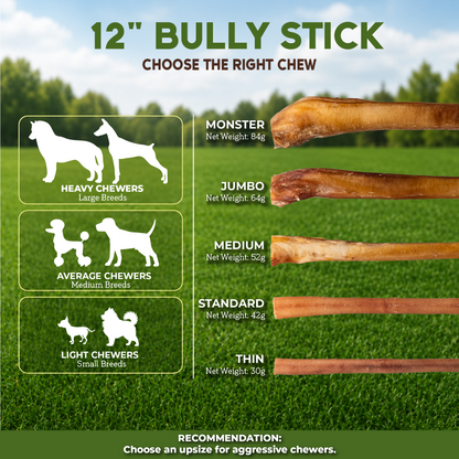 12" Bully Stick Jumbo