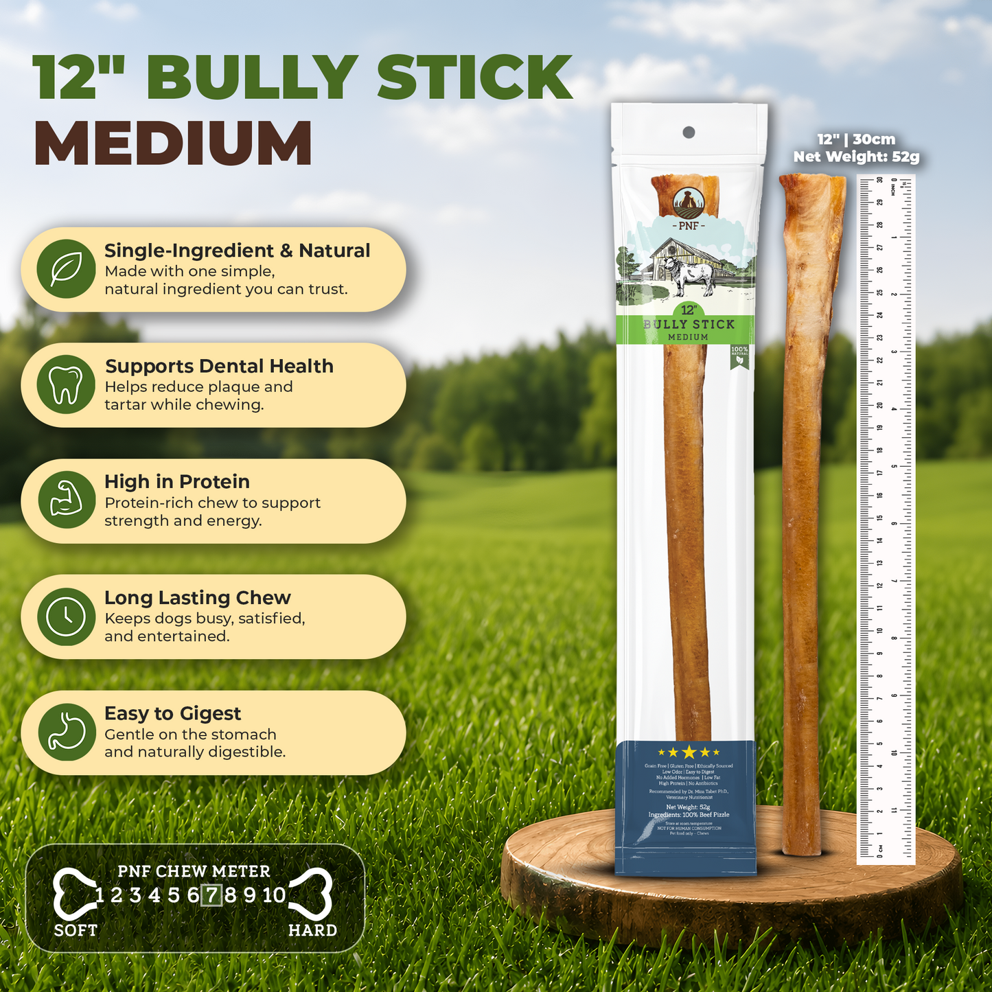 12" Bully Stick Medium