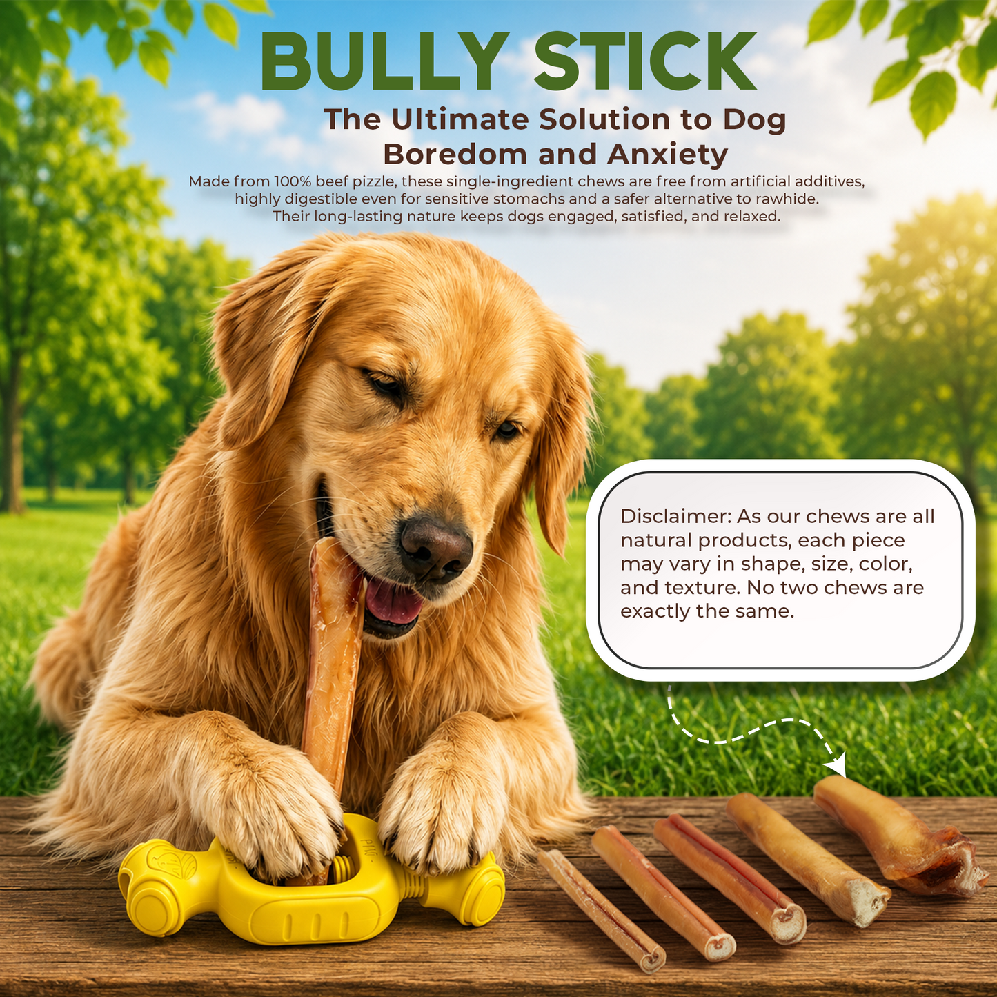12" Bully Stick Thin