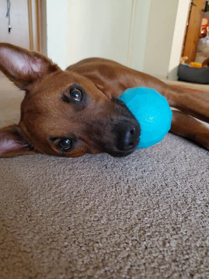 ZippyTuff  Waggle Ball