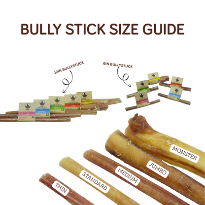6" Bully Stick Jumbo