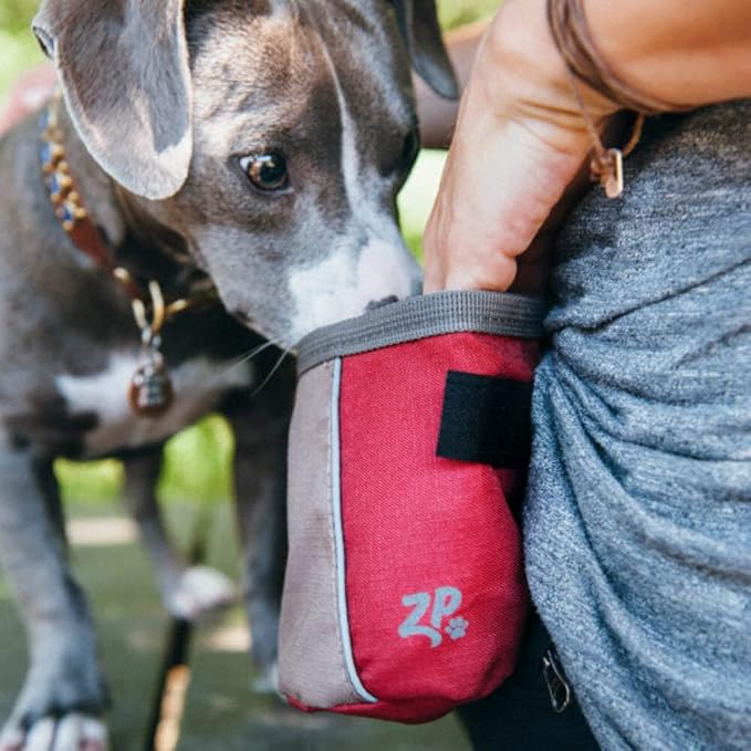 Adventure Treat Bag Graphite