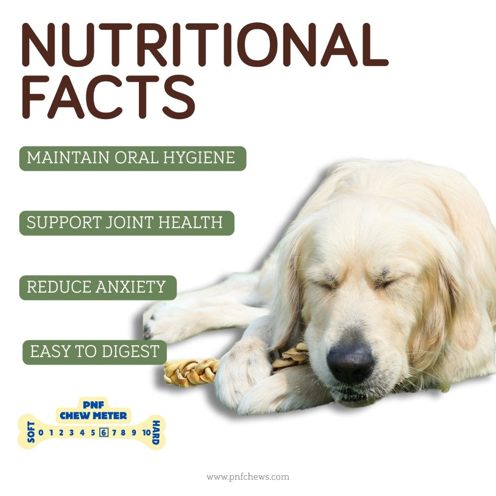 6" Braided Beef Collagen