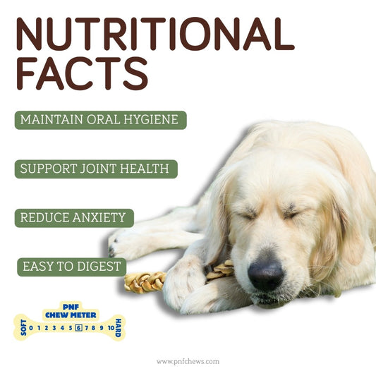 6" Braided Beef Collagen