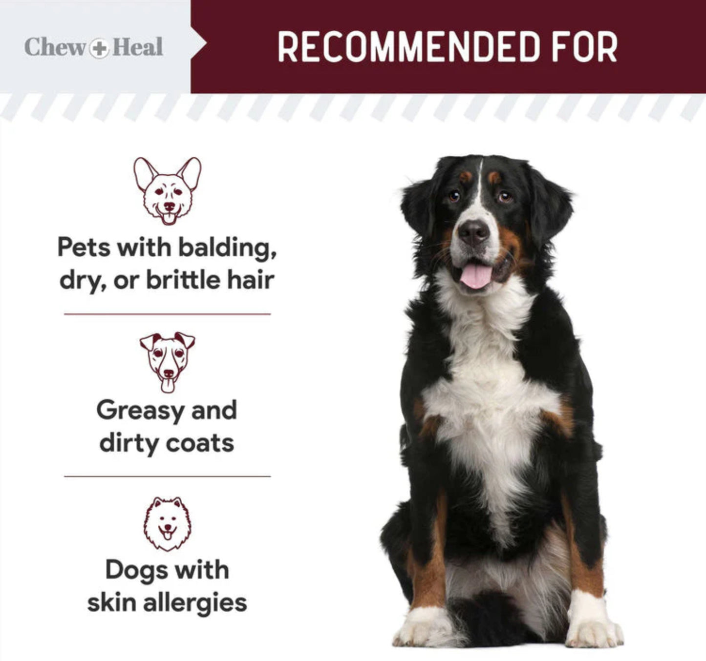 Savory Lamb Omega Skin & Coat Supplement for Dogs