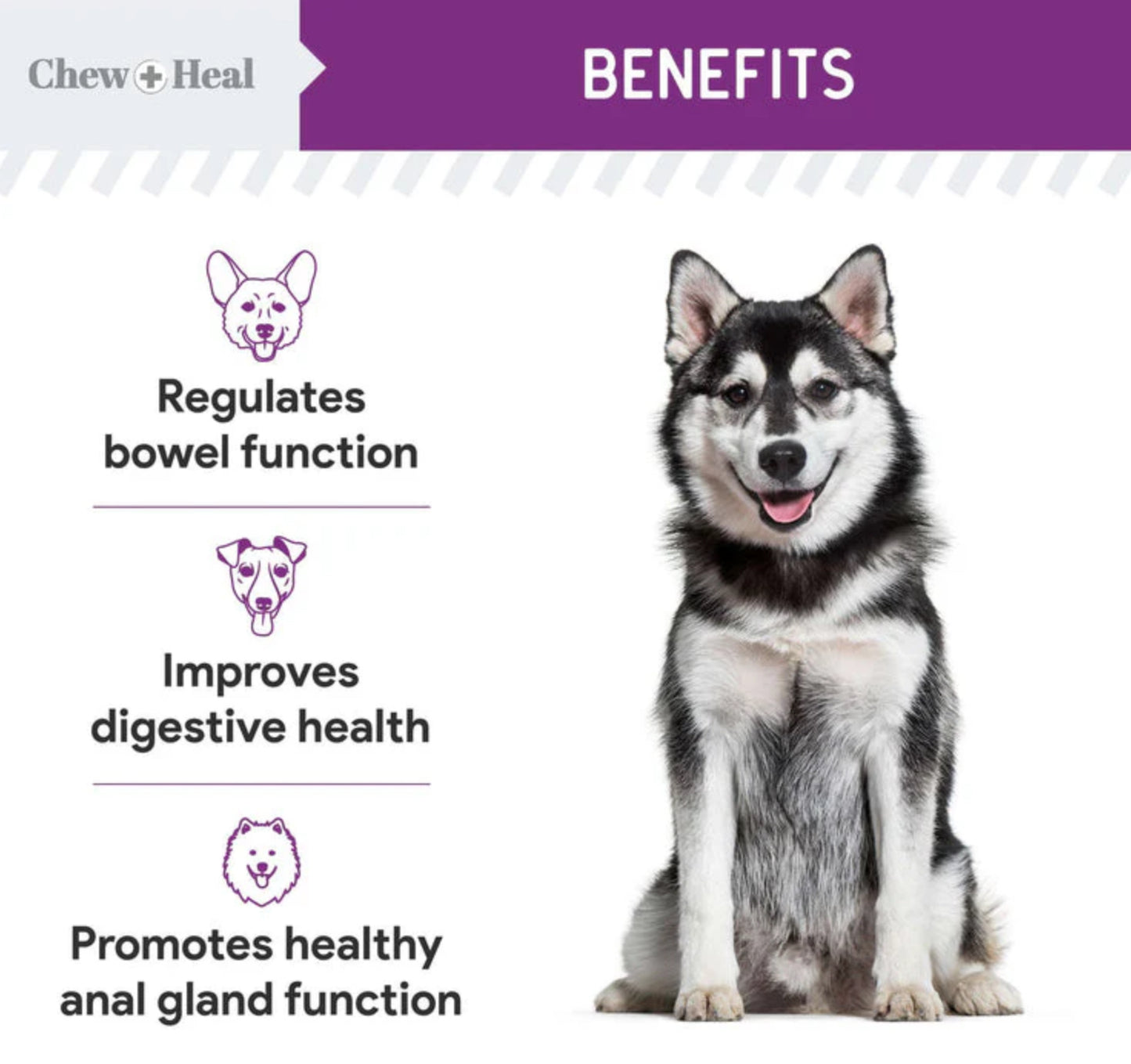 Stop the Scoot Anal Gland Support & Bowel Function Supplement for Dogs