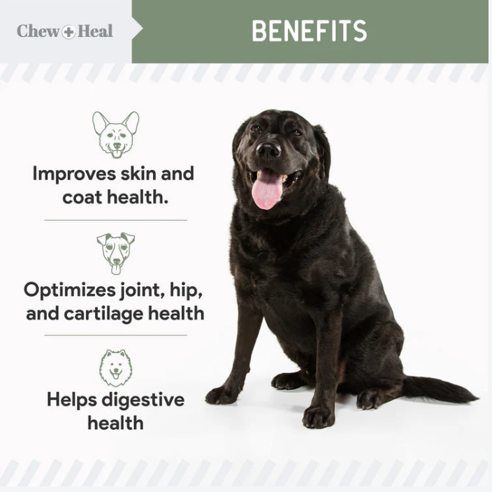 4-In-1 Support Multivitamin Dog Supplement