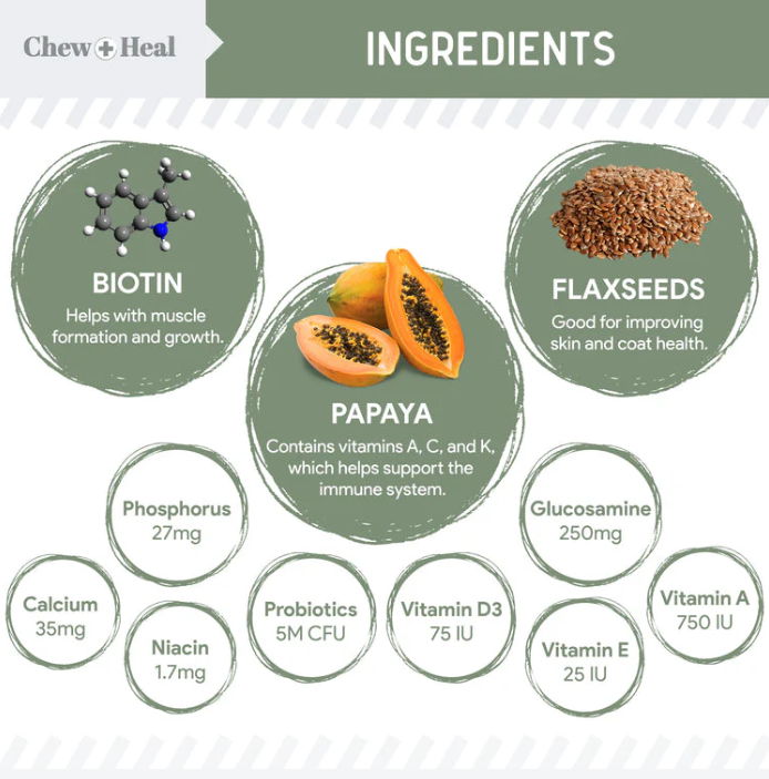 4-In-1 Support Multivitamin Dog Supplement