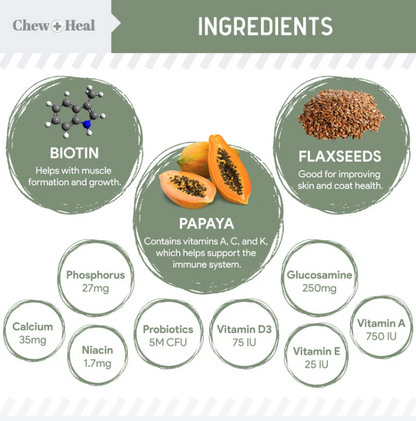 4-In-1 Support Multivitamin Dog Supplement