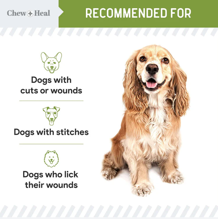 Liquid Bandage for Dogs