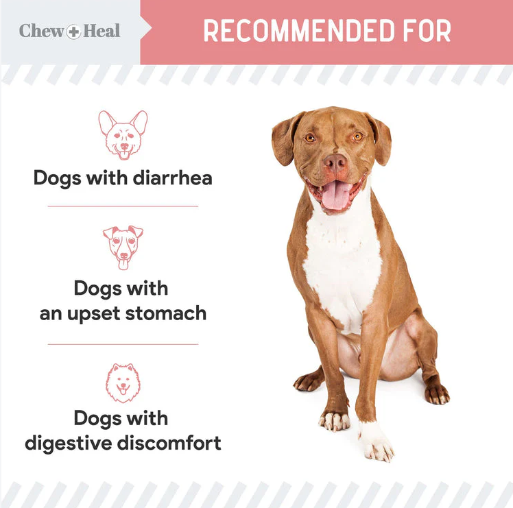 Stop The Diarrhea Liquid Digestive Aid for Dogs