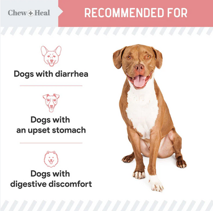 Stop The Diarrhea Liquid Digestive Aid for Dogs