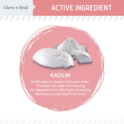 Stop The Diarrhea Liquid Digestive Aid for Dogs