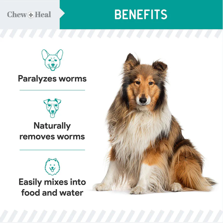 Stop the Worms Roundworm Dewormer Liquid, 4 oz