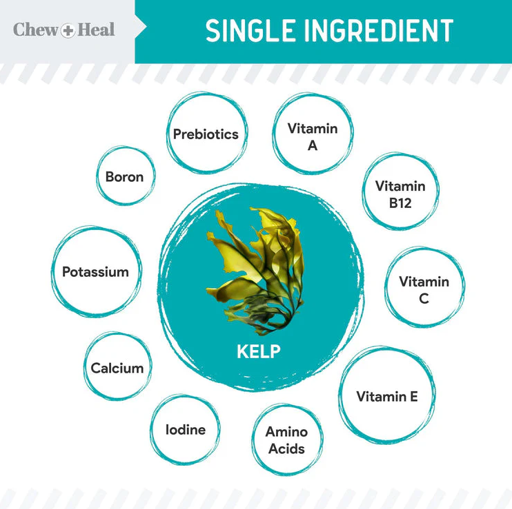 Organic Kelp Marine Superfood Granules Dental Supplement for Dogs