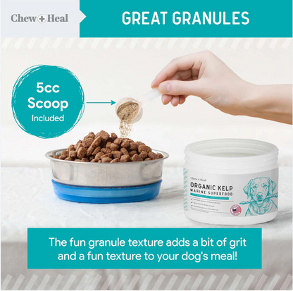 Organic Kelp Marine Superfood Granules Dental Supplement for Dogs