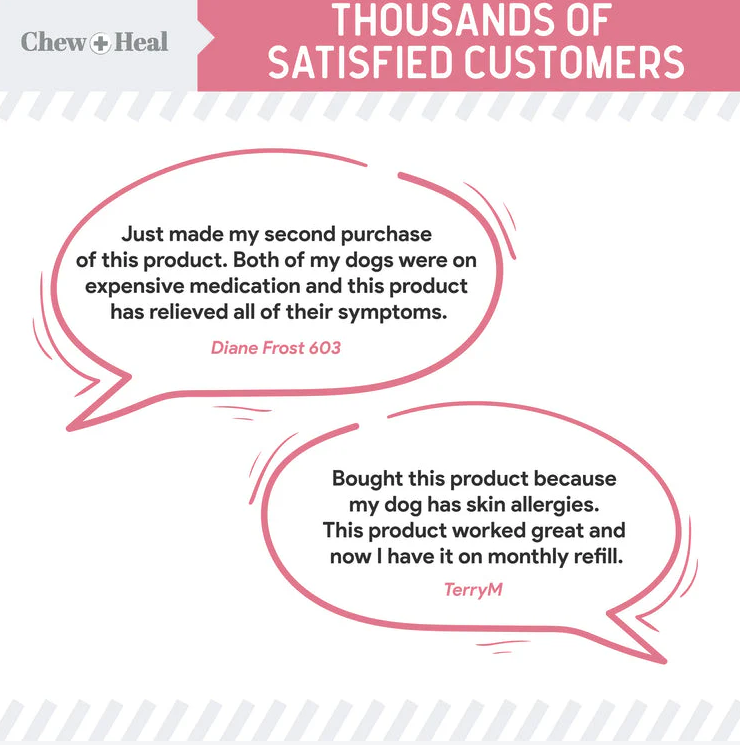 Allergy Aid Soft Chew Allergy Supplement for Dogs