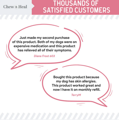 Allergy Aid Soft Chew Allergy Supplement for Dogs