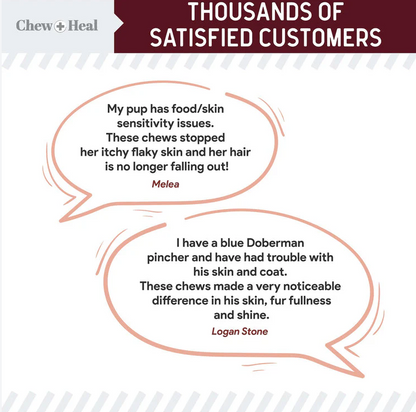 Savory Lamb Omega Skin & Coat Supplement for Dogs