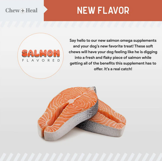 Salmon Omega Skin & Coat Supplement for Dogs