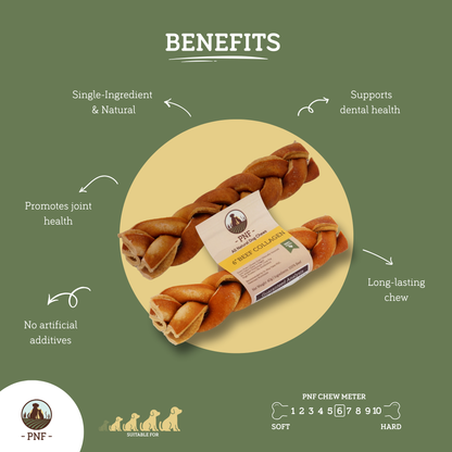 6" Braided Beef Collagen