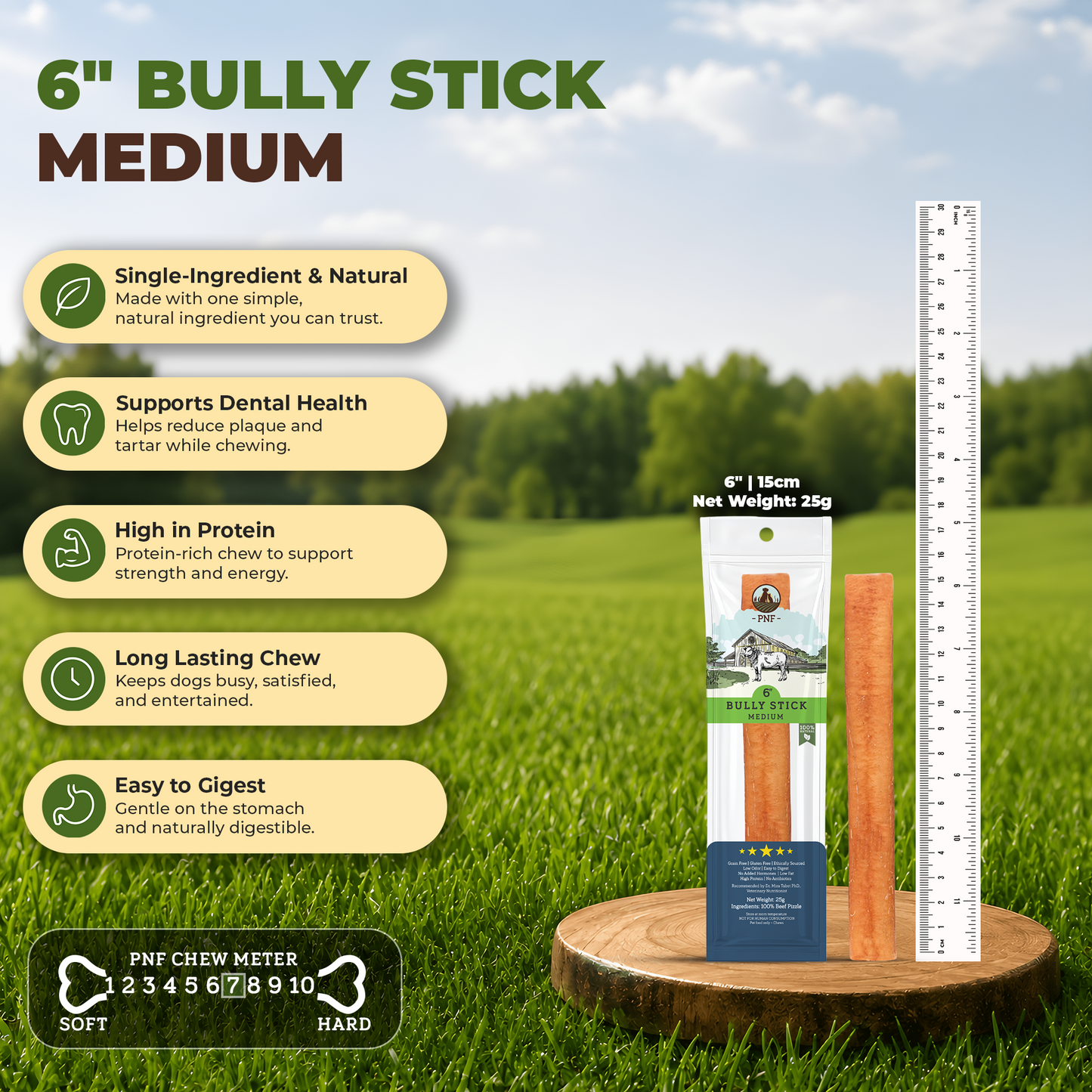 6" Bully Stick Medium