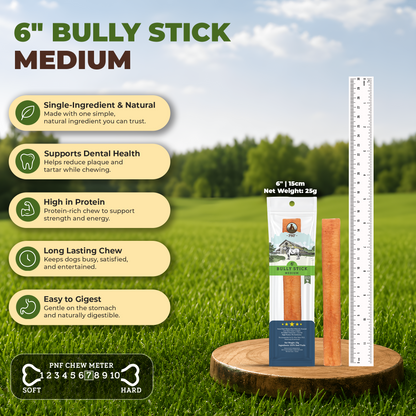 6" Bully Stick Medium