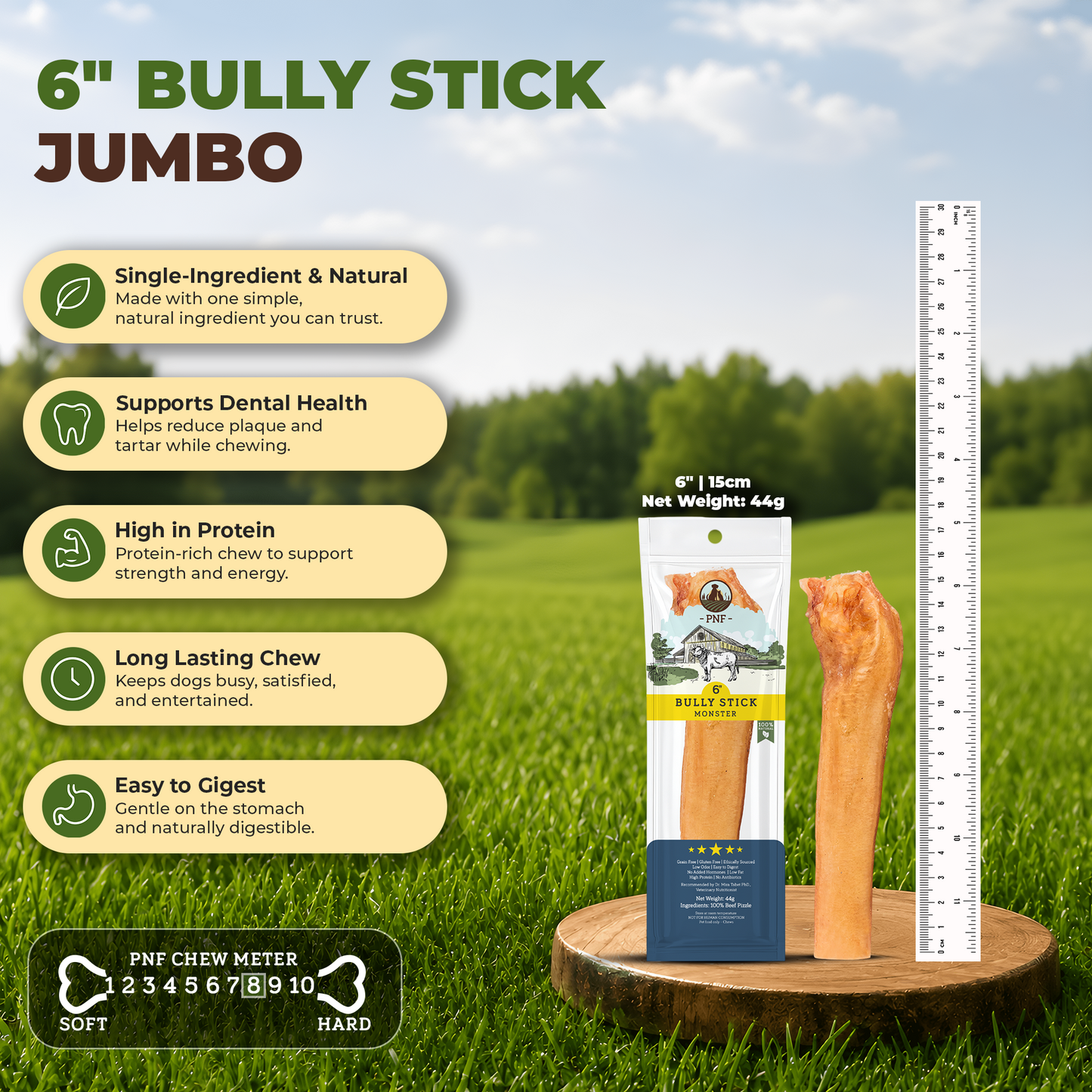 6" Bully Stick Monster