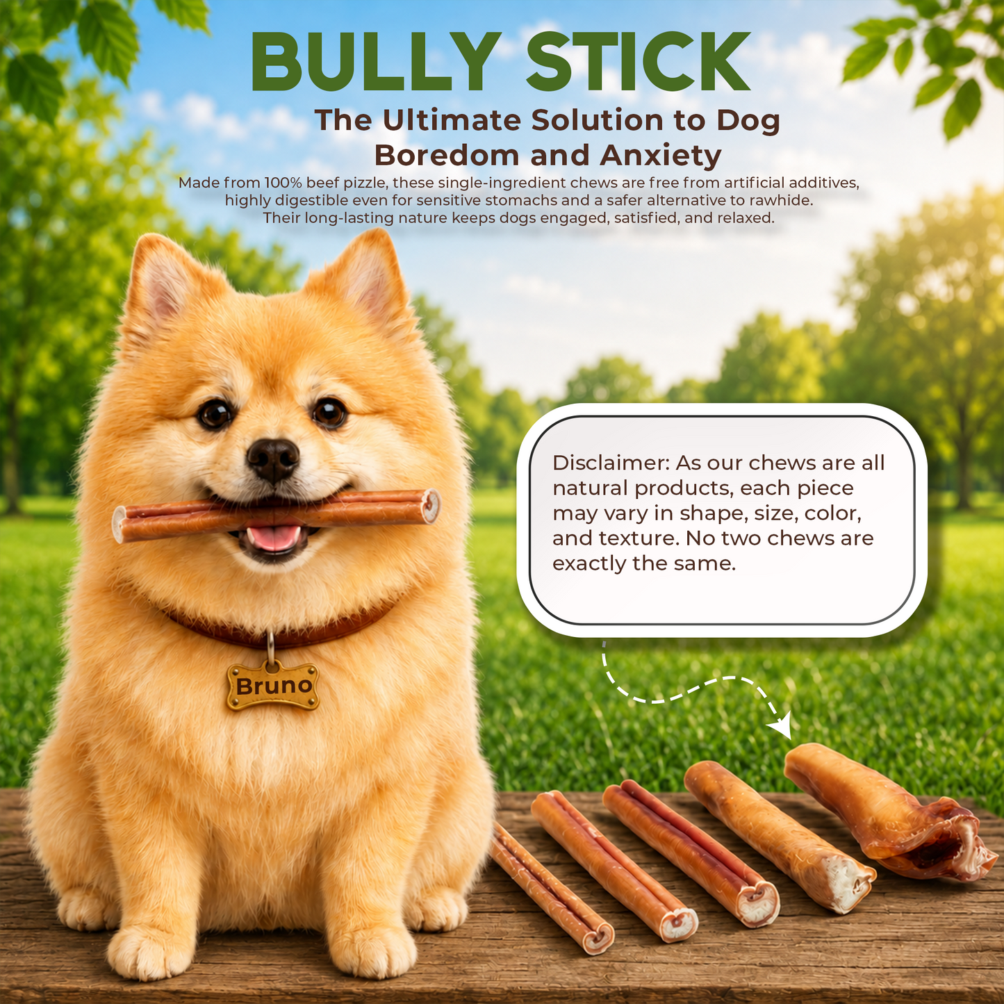 6" Bully Stick Standard