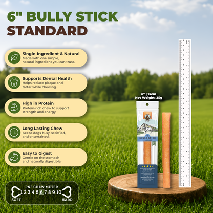 6" Bully Stick Standard