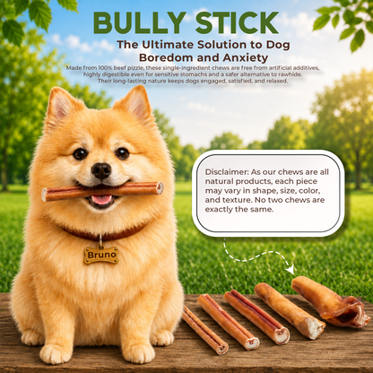 6" Bully Stick Thin